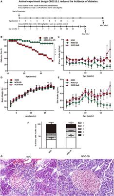 Clostridium butyricum CGMCC0313.1 Protects against Autoimmune Diabetes by Modulating Intestinal Immune Homeostasis and Inducing Pancreatic Regulatory T Cells